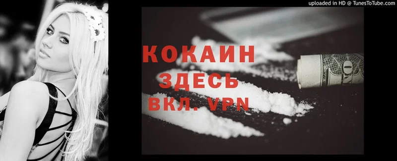 где найти   Белореченск  Cocaine Колумбийский 