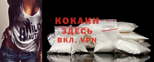 первитин Няндома
