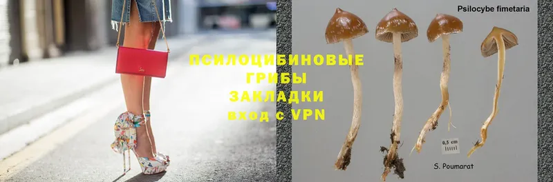 Псилоцибиновые грибы Psilocybine cubensis  даркнет сайт  Белореченск 