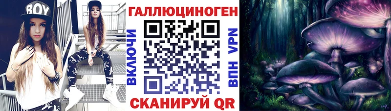 наркота  Белореченск  Псилоцибиновые грибы Psilocybine cubensis 